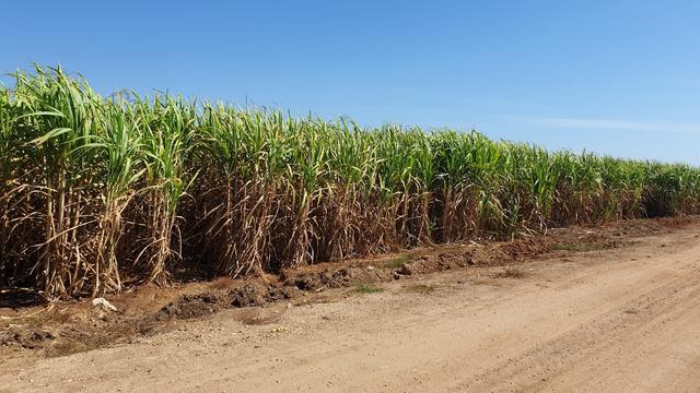 Bulog Rombak Manajemen Anak Usaha Usai Protes Petani