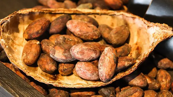 Kemendag: Harga Biji Kakao Naik akibat Cuaca Buruk